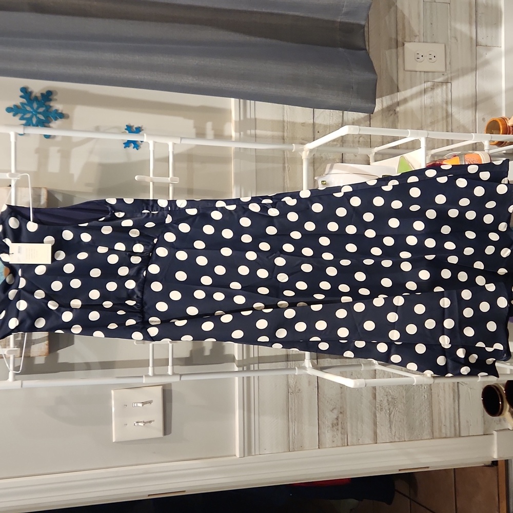 NWT Most of All Women's sz 4 Polka Dot Coralie sleeveless Maxi Dress